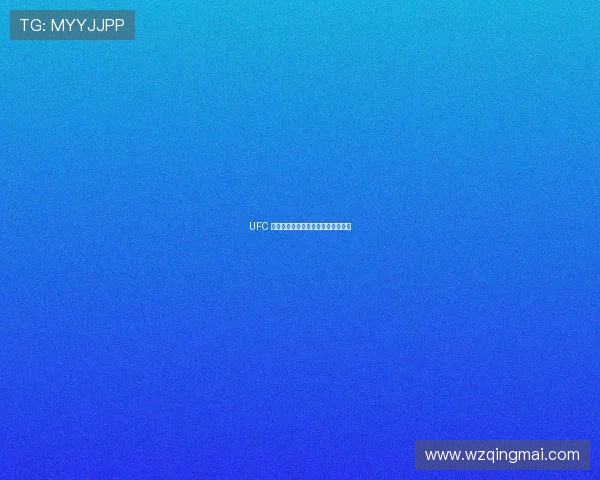 UFC 粉丝必备:官方商品与周边购买指南 UFC 粉丝必备:官方商品与周边购买指南
